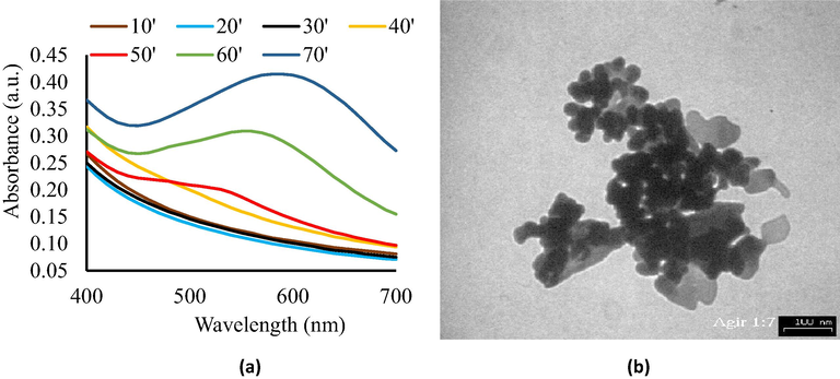 (a) UV–Vis spectra of chi-AgNPs colloidal, and (b) TEM image of AgNPs colloidal (scale bar = 100 nm).