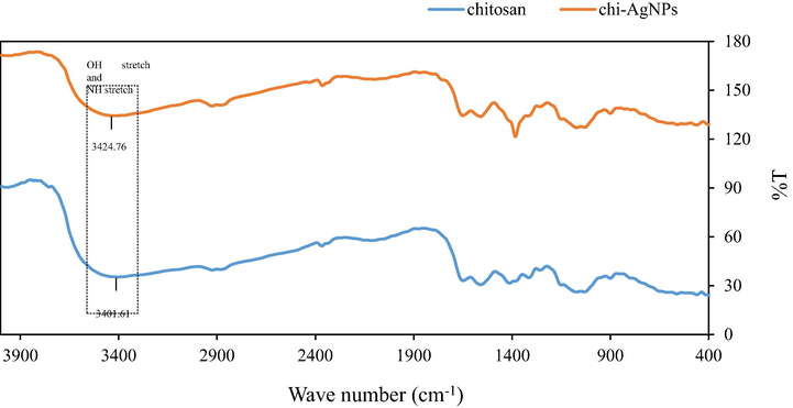 FTIR spectra of chitosan and chi-AgNPs.