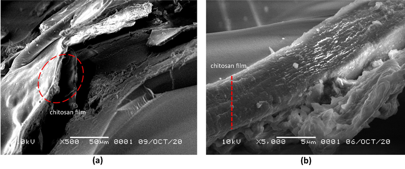 SEM images of chi-SiG with (a) 500 × magnification, and (b) 5000 × magnification.