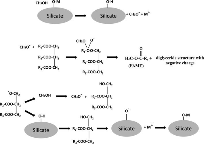 Proposed mechanism for the H/M ion exchange of methanol with base sites of alkaline silicates.