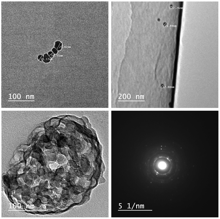 TEM graphs of LDA nanoparticles.