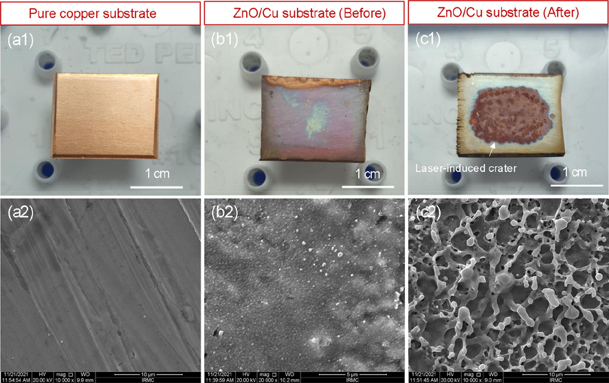 Digital photos and SEM micrographs of (a1, a2) pure copper, ZnO/Cu substrate (b1, b2) before and after (c1, c2) PLAL experiment.