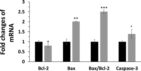 Apoptosis assay in HCT116 colorectal cancer cells after exposure to synthesized Bi2O3 NPs (IC50 concentration, 50 μg mL−1) using Ginger (Zingiber officinale) root (rhizome) extract for 24 h determined by RT-qPCR analysis by exploring the mRNA expression level of Bax, Bcl2, and Caspase-3. *P < 0.05, **P < 0.01, ***P < 0.001, relative to control samples. Black: control cells, Gery: NP-treated HCT116 colorectal cancer cells.