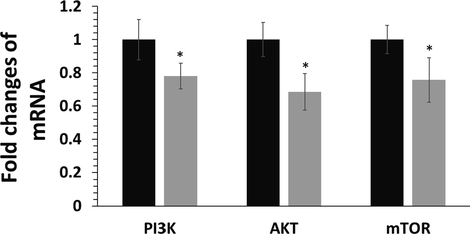 Exploring the regulation of the PI3K/AKT/mTOR signaling pathway in HCT116 colorectal cancer cells after exposure to synthesized Bi2O3 NPs (IC50 concentration, 50 μg mL−1) using Ginger (Zingiber officinale) root (rhizome) extract for 24 h determined by RT-qPCR assay. *P < 0.05 relative to control samples. Black: control cells, Gery: NP-treated HCT116 colorectal cancer cells.