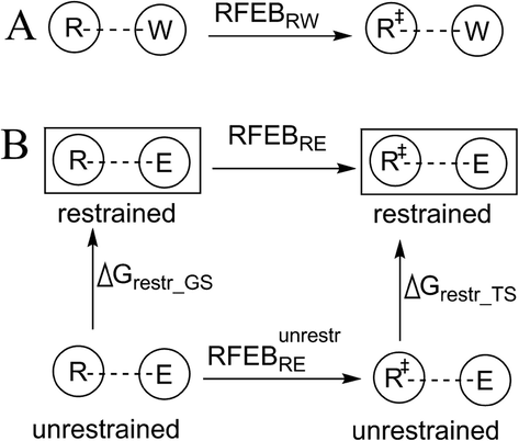 Comparison of an enzyme–substrate interaction with the corresponding reference interaction. The terms R and R‡ represent the GS and TS of a substrate atom characterized by a change in charge density between those two states. E and W represent interacting atoms from the enzyme and from the solution environment. (A) Conversion of R to R‡ in solution. (B) Conversion of R to R‡ in the enzymatic reaction in conditions whereby the interaction between R and E is restrained (top) and the same conversion when the corresponding interaction is unrestrained (bottom).