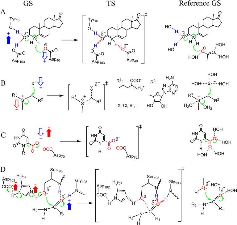 Validating that charge alterations in the electron-donating and –accepting centers of enzymatic reactions determines enzyme catalytic power. Charge alterations are determined by comparing the GSs of enzymatic reactions (left) with the GSs of the reference reactions (right), and are represented with blue (for positive charge) and red (for negative charge) arrows. The up and down arrows represent an increase and decrease in charges, respectively. (A) The isomerization of 5-androstene-3,17-dione. (B) The reaction of S-adenosylmethionine with X− (X−= Br−, Cl−, or I−). (C) The electrostatic stress in the decarboxylation of orotidine 5′-monophosphate catalyzed by orotidine 5′-monophosphate decarboxylase. (D) The catalytic triad in the peptide bond cleavage catalyzed by serine proteases.