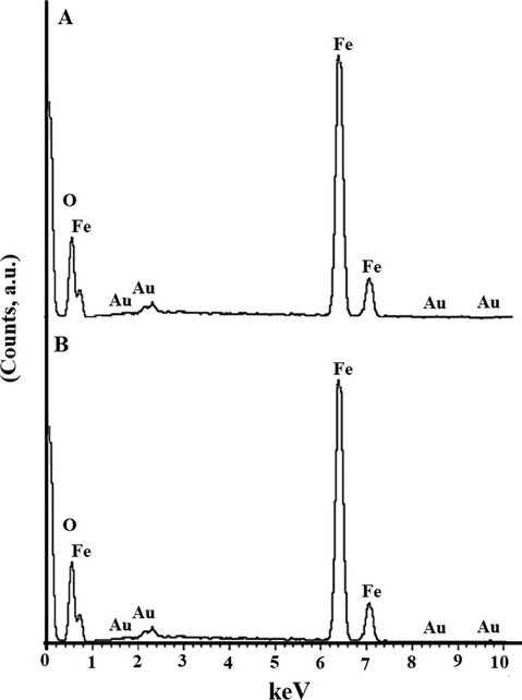 EDS of the OL (A) and OS (B) samples.