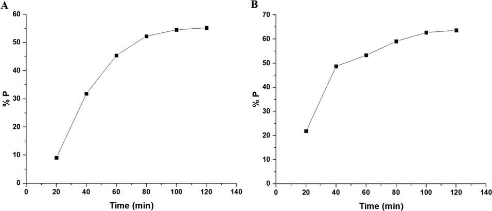 The plot of % P versus irradiation time in the absence of hydrogen peroxide in the case of the OL (A) and OS (B) samples.