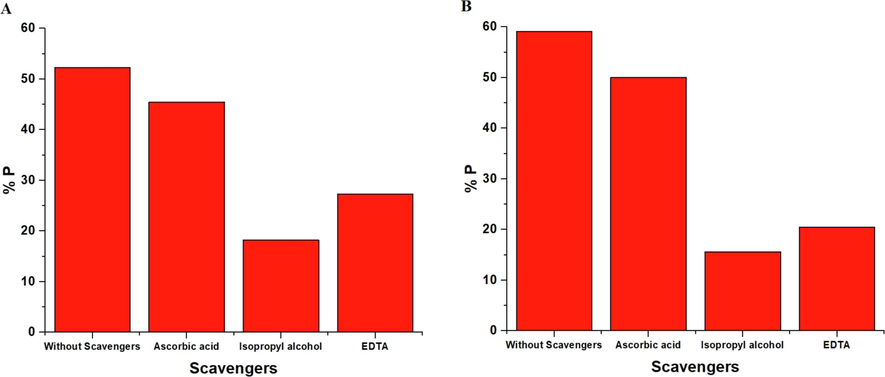 The effect of scavengers in the case of the OL (A) and OS (B) photocatalysts.