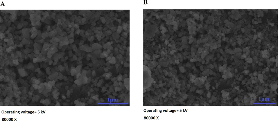 FE-SEM images of the OL (A) and OS (B) samples.