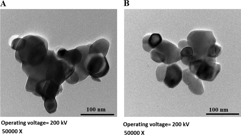 HR-TEM images of the OL (A) and OS (B) samples.