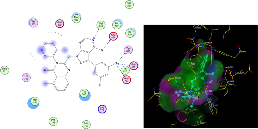 2D,3D representation of SW13 at ATP binding site of PI3K- δ.