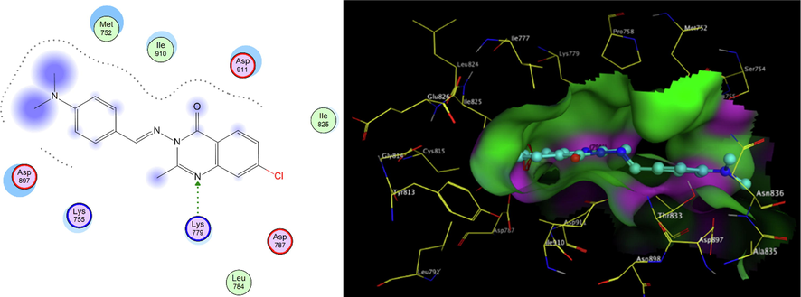 2D,3D representation of 6a at Figure Scheme 1. ATP binding site of PI3K- δ.