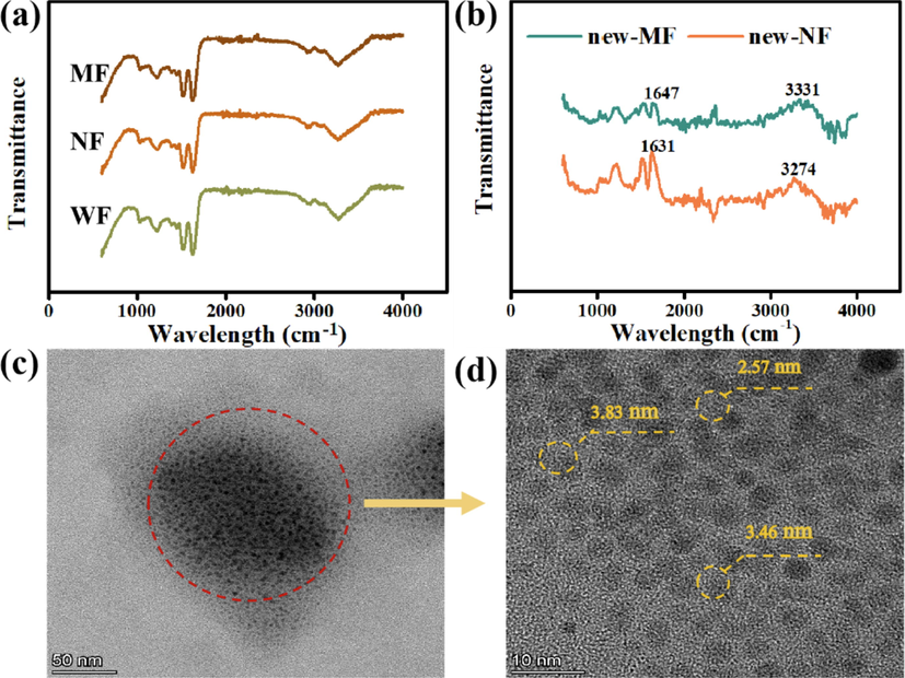 (a) Infrared spectrum of three dyed fabric samples; (b) Infrared difference spectrum of MF and NF; (c) and (d): TEM images of Nd solution.