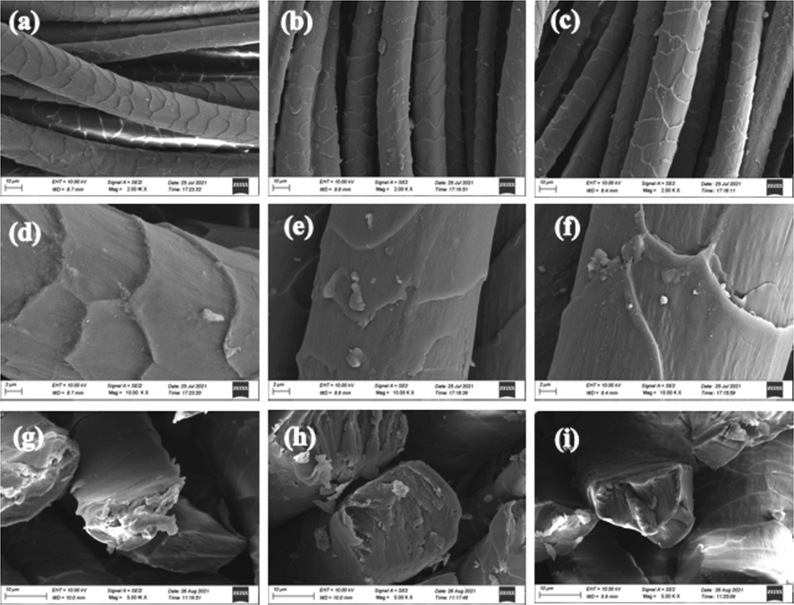 SEM images of fabric samples :(a) WF × 2 K; (b) NF × 2 K; (c) MF × 2 K; (d) WF × 10 K; (e) NF × 10 K; (f) MF × 10 K; (g), (h) and (i): Cross section electron microscope of wool WF, NF and MF.