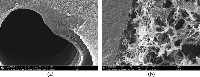 Structure of a macropore wall of TCXs: (a) packed wall by evaporation, and (b) porous wall by vacuum drying. Reproduced and edited from SEM images with permission Elsevier (Kraiwattanawong, 2020).