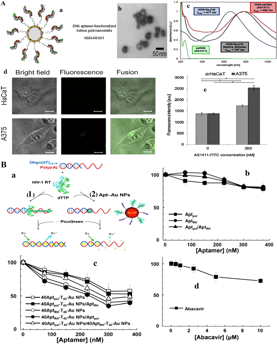 A) a; Schematic illustration of HGN surface modification with thiolated ssDNA aptamer. b; TEM image of HGNs before ssDNA attachment. c; Absorption spectra of HGN samples at various stages of modification with ssDNA (AS1411 aptamer). Normalized spectra represent NPs: citrate estabilized before dialysis (black line), citrate-stabilized after dialysis (blue line) and DNA aptamer (red line). Green line represents spectrum of free ssDNA (AS1411) in solution. AS1411-FITC uptake by HaCaT and A375 cells after 24 h of incubation with cell cultures: d; confocal microscope images (scale bar 10 μm), e; measurement of fluorescence intensity (Grabowska-Jadach et al. 2019). B) a; Schematic representation of the binding and enzymatic activity of HIV-1 RT toward poly(rA): oligo (dT)12–18 in the absence (A) and presence (B) of Apt–Au NPs. Inhibition of viral infectivity to HepG2 cells by (b) aptamers, (c) Apt_Au NPs or (d) nucleoside RT inhibitor (Abacavir). The green fluorescent protein signal was measured after infection for 4 days. Results are expressed as a percentage of infectivity (Shiang et al. 2013). Copyright 2019, reprinted with permission from Elsevier, Under the terms of the Creative Commons CC BY license (Grabowska-Jadach et al. 2019) and Copyright 2013, Royal Society of Chemistry publishing group (Shiang et al. 2013).