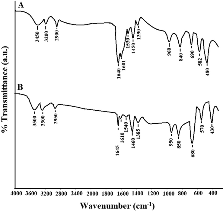 The FT-IR spectra of the Zn(II) (A) and Co(II) (B) complexes.