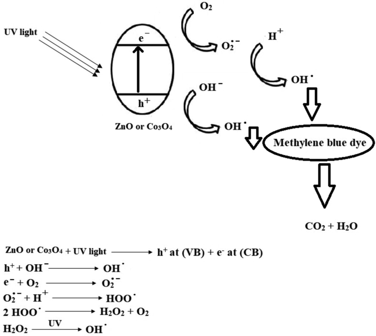 The mechanism of the photocatalytic degradation of methylene blue dye.