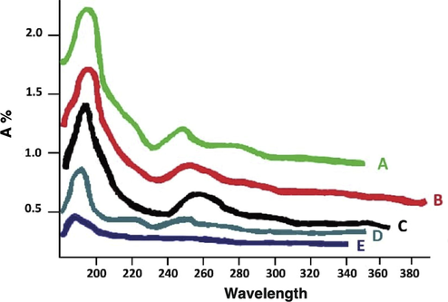 UV–vis of (A) standard of MOR; (B) Urine containing free MOR; (C) Urine with β-glucuronidase enzyme trapped in PAMAM dendrimer G2 (incubated for 24 hr at 37 °C); (D) Urine consisting of β-glucuronidase enzyme trapped in PAMAM dendrimer G2 (incubated for 24 hr at 24 °C); (E) Urine that contains β-glucuronidase enzyme trapped in PAMAM dendrimer G2 (incubated for 48 hr at 37 °C).