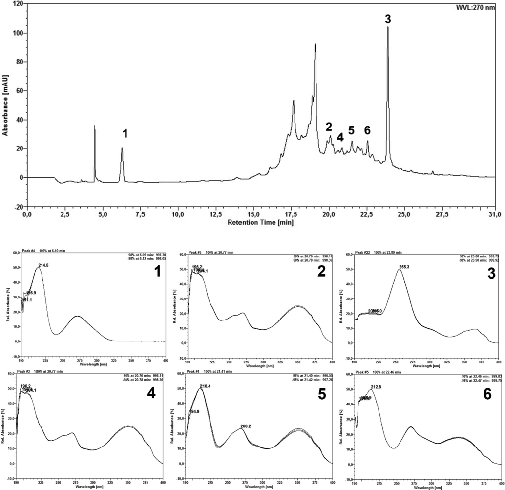 EEFLF sample chromatogram and scan spectrum of peaks observed at 270 nm. 1– Gallic acid; 3 – Ellagic acid; 4, 5 and 6 – Flavonoid derivative.