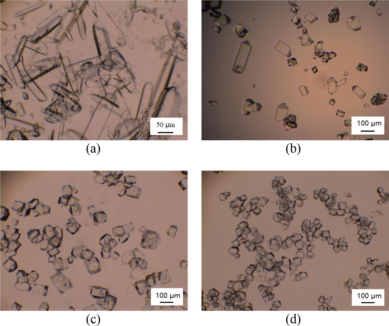 Morphology of MAP crystals obtained from aqueous solutions containing different Fe3+ concentrations. (A: initial MAP solution with 100 ppm Fe3+; B: raffinate solution containing 19.4 ppm Fe3+ after one-stage extraction; C: raffinate solution containing 3.4 ppm Fe3+after two-stage extraction; D: analytical-grade MAP solution).