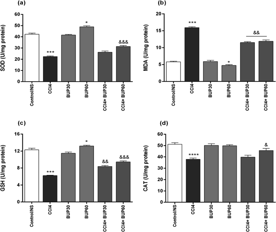 Effects of bupropion (30 and 60 mg/kg) on the cardiac tissue levels of antioxidant and oxidant enzymes in CCl4-induced oxidative stress in rat hearts. Superoxide dismutase (SOD) (Fig. 4a), malonyldialdehyde (MDA) (Fig. 4b); glutathione (GSH) (Fig. 4c) and catalase (CAT) (Fig. 4d) are given in study groups (results expressed as Mean ± SEM; n = 10). * (P < 0.05) and *** (P < 0.001) compared to the control group; & (P < 0.05), && (P < 0.01) and &&& (P < 0.001) compared to CCl4 group.Control/NS group: which received saline; CCl4 group: the cirrhotic group which received CCl4 injections (0.4 g/kg, i.p.), a solution of 1:6 of CCl4 in mineral oil; Bu 30 and Bu 60 groups: which received bupropion orally at doses 30 and 60 mg/kg/day, p.o; CCl4 + Bu 30 and CCl4 + Bu 60: treatment groups which received CCl4 + bupropion (30 and 60 mg/kg/day, p.o.).