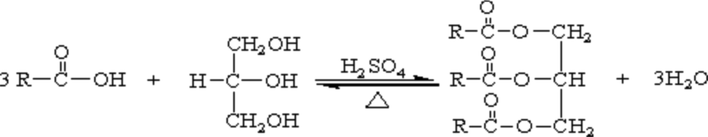 Esterification of vegetable oil.