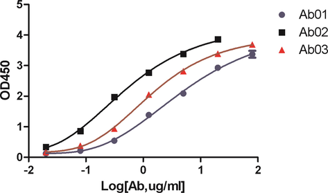 ELISA of the purified antibodies A01, A02 and A03 against the RBD.