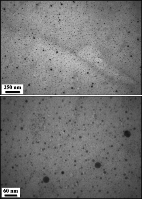 TEM images of the Cu NPs@CS/Alg nanocomposite.