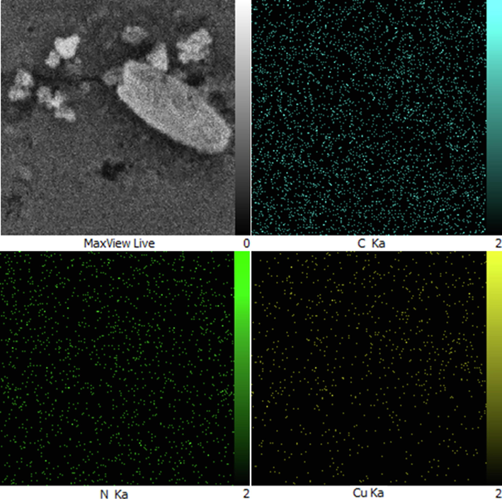Elemental mapping of Cu NPs@CS/Alg nanocomposite.