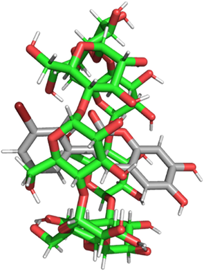 The geometry of the inclusion complex of compound 8 in β-CDs, generating by molecular modeling.