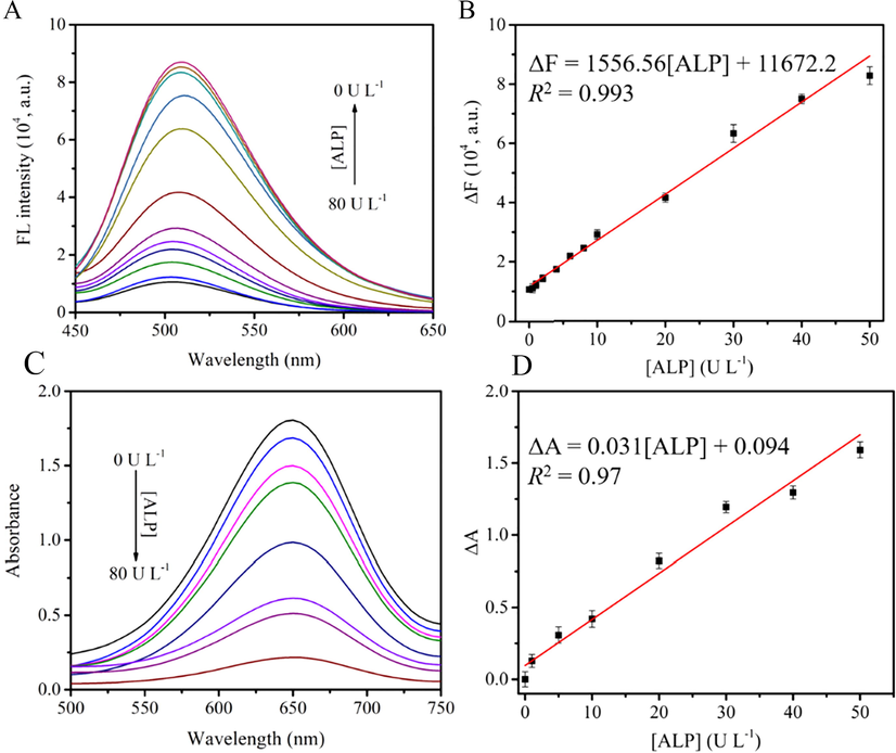 (A) Fluorescence titration spectra of the sensing platform under different ALP activity. (B) The calibration relationship between the fluorescence intensity and the ALP activity. Error bars were estimated from triplicate measurements. (C) UV–Vis absorption of the sensing system to different ALP activity. (D) The calibration relationship between the absorbance and the ALP activity. Error bars were estimated from triplicate measurements.