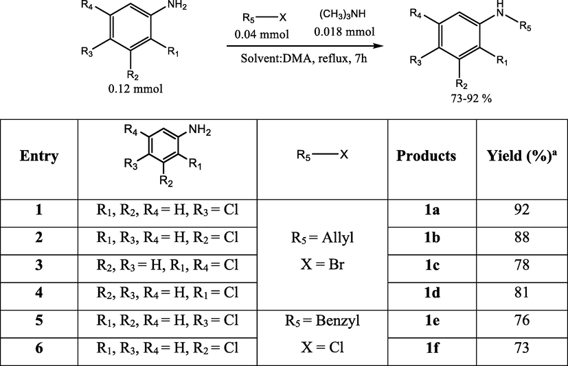 Synthesis of N-benzyl-, and N-allyl aniline derivatives.