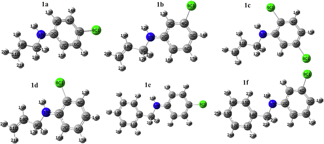 The optimized structures of novel synthesized N-benzyl and N-allyl aniline derivatives (1a-f).