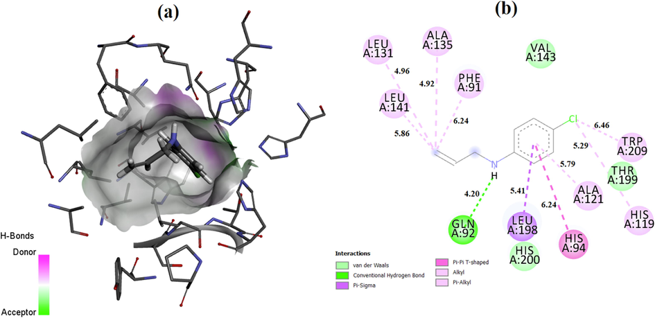 (a) 3D and (b) 2D molecular docking results of the hCA I/PDB:2CAB + 1a.