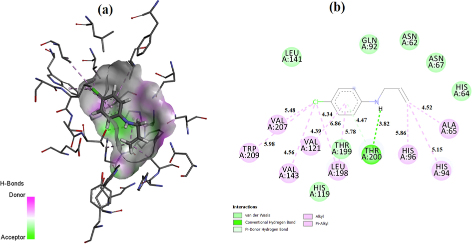 (a) 3D and (b) 2D molecular docking results of the hCA II/PDB:5AML + 1a.