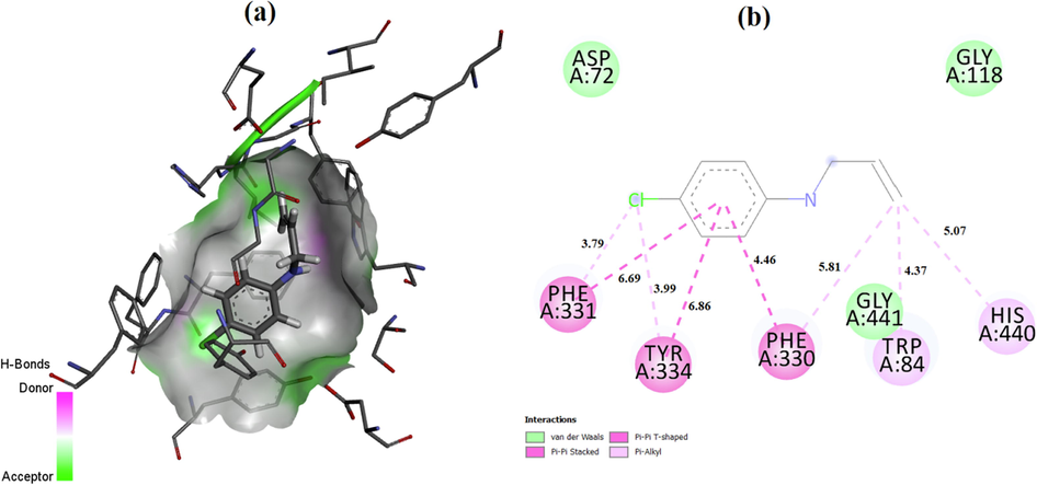 (a) 3D and (b) 2D molecular docking results of the AChE/PDB:1EVE + 1a.