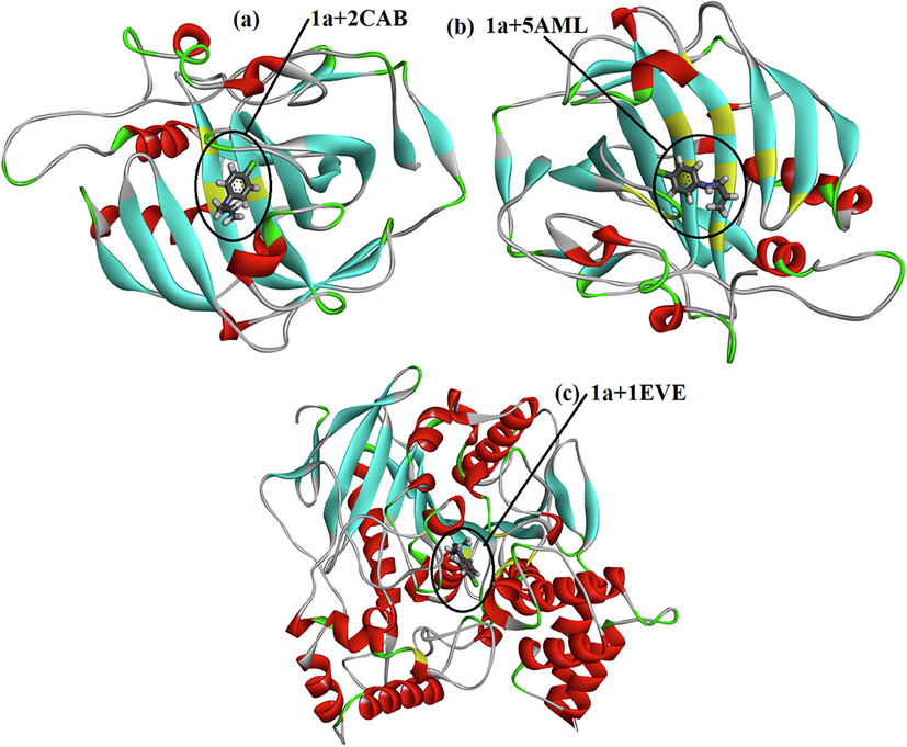 The three-dimensional structure of 2CAB, 5AML and 1EVE proteins with the compound 1a.