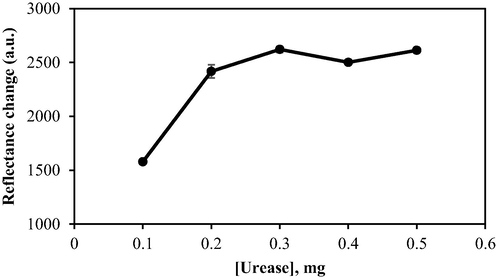 The effect of urease loading on biosensor response. Conditions: 25 mM PBS (pH 7.5), 0.04 M PP in 1% alginate, and 1000 mM urea.