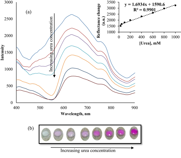 Reflectance spectra and calibration curve of urea biosensor, (a) and colour scale of optical biosensor, (b) obtained in the urea concentration in range of 30–1000 mM in 25 mM phosphate buffer (pH 7.5).