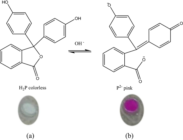 Image of an optical urea biosensor (a) before and (b) after reaction with urea.