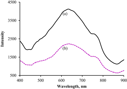 Reflectance intensity spectra (a) before and (b) after reaction with urea.