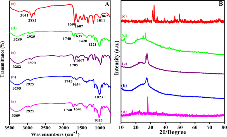 (A) FTIR spectra of (a) MWCNT-COOH, (b) MWCNT-PEG, (c) MWCNT-PEG-AA, (d) MWCNT-PEG-AA-HBPLL-FA carrier and (e) DOX/MWCNT-PEG-AA-HBPLL-FA carrier and (B) XRD pattern of (a) MWCNT-COOH, (b) MWCNT-PEG, (c) MWCNT-PEG-AA, (d) MWCNT-PEG-AA-HBPLL-FA carrier and (e) DOX/MWCNT-PEG-AA-HBPLL-FA carrier.