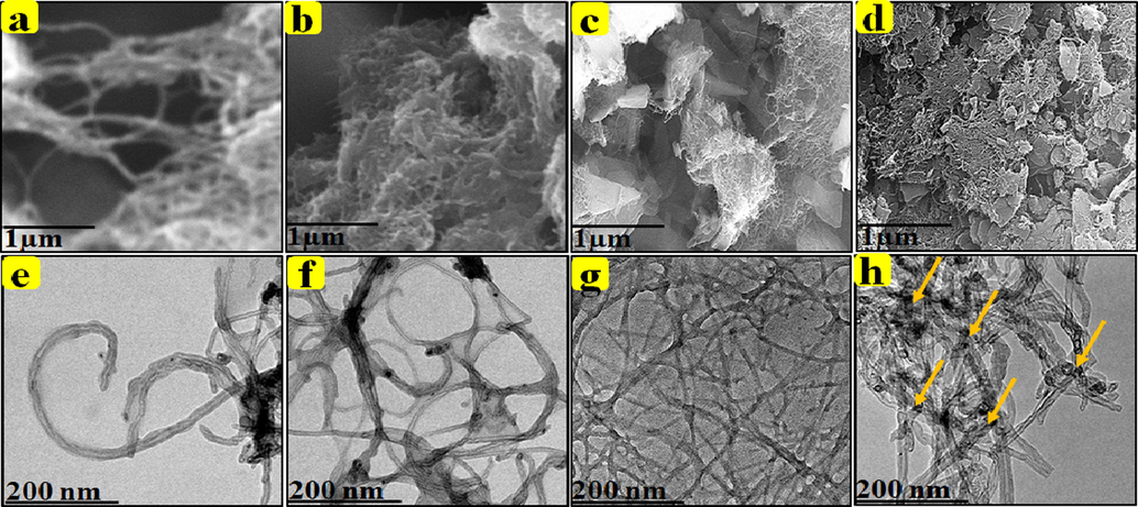 SEM and HR-TEM images: MWCNT-COOH, MWCNT-PEG, MWCNT-PEG-AA-HBPLL-FA, and DOX/MWCNT-PEG-HBPLL-AA-FA carrier.