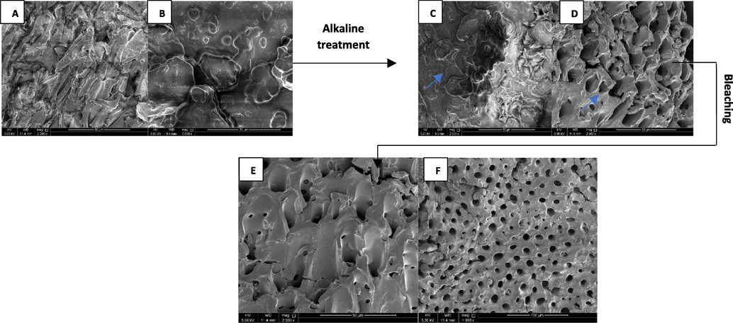 Schematic illustration of SEM results of the surface morphology of A) DP at 5000x, B) DP at 2500x, C) N1-DP, D) N2-DP, E) B1-DP, F) B2-DP.