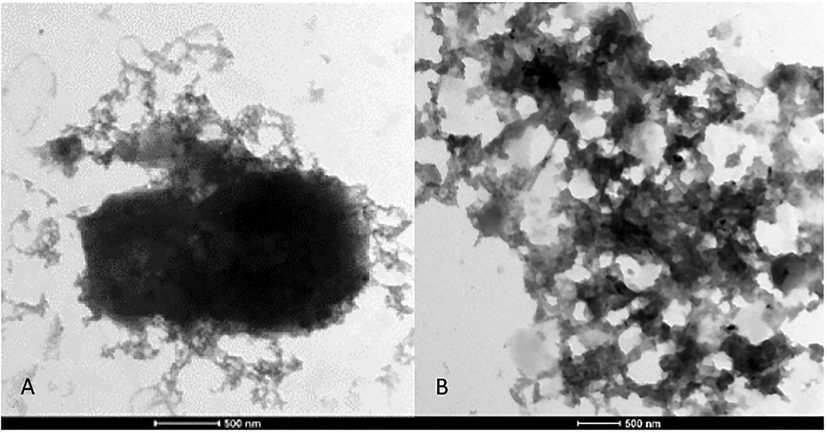TEM image of A) CNCs1, B) CNCs2.