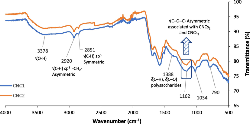 FTIR spectra of CNCs1 and CNCs2.
