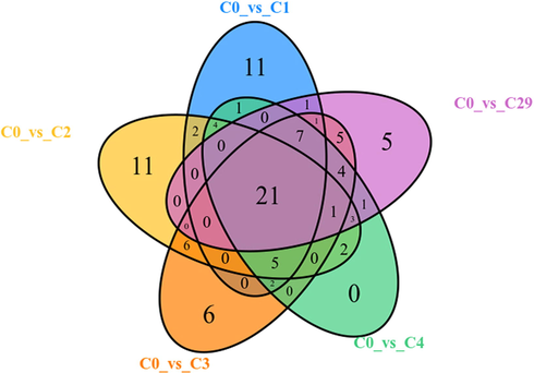 Venn Diagram of differential flavonoid metabolites in five pair groups for comparison.