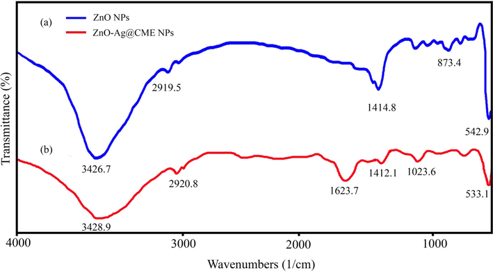 FT-IR spectra of (a) pure ZnO NPs compared with (b) ZnO-Ag@CME NPs.